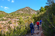 El camino es pedregoso y avanza entre matorrales.