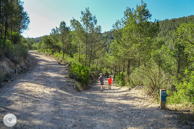 Ruta a las Tinas del valle del Flequer 1 