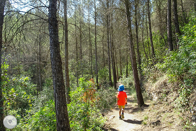 Ruta a las Tinas del valle del Flequer 1 