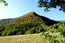 La sequía en los bosques del Berguedà.