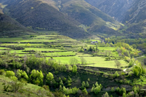 Prados de pasto en Gavàs.