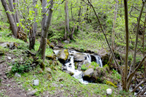 Arroyo de Gavàs.