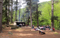 Área de picnic del Pla d´en Xurri.