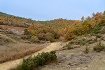 Torrente de la Fàbrega en época seca.