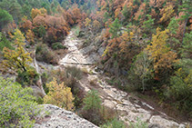 Torrente de Fàbrega en época seca.