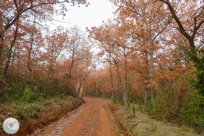 Molino de Brotons y salto de la Tosca en el valle de Marfà 1 