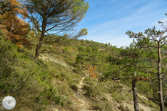 Molino de Brotons y salto de la Tosca en el valle de Marfà 1 