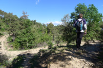 Pasamos a la vertiente N de la sierra de las Tombes y enlazamos con una pista.