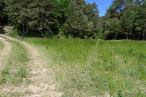 A la izquierda, bifurcación que da acceso a un campo. Nosotros continuamos recto adelante.