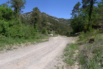 Llegamos a otra pista. La seguimos hacia la derecha (NE) unos 120m hasta la fuente del Abat.