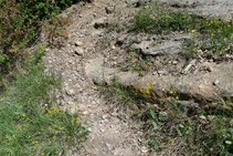 Marcas amarillas que hay en el punto donde dejamos la pista y tomamos un sendero.