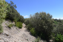 Camino de bajada hacia Sant Maurici de la Quar.