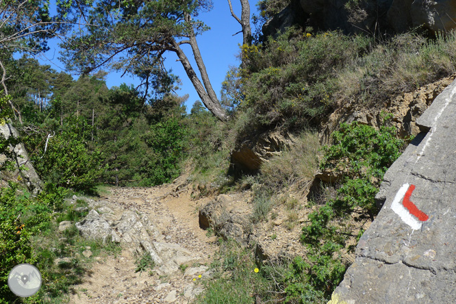 Ruta circular por la Quar del Berguedá 1 