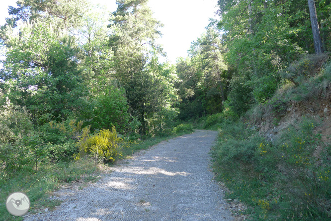 Ruta circular por la Quar del Berguedá 1 