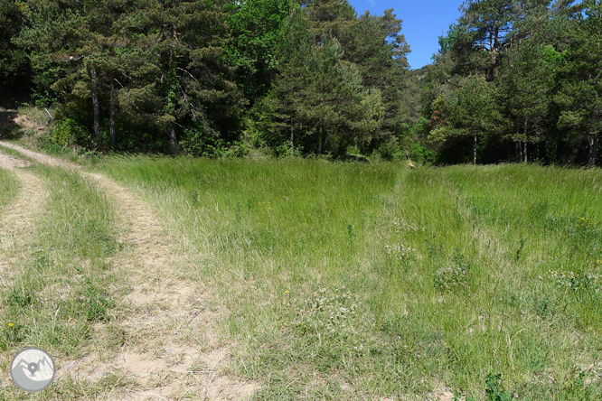 Ruta circular por la Quar del Berguedá 1 