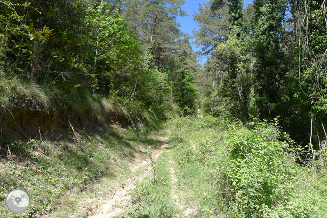 Ruta circular por la Quar del Berguedá 1 