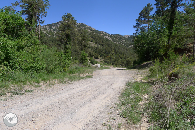 Ruta circular por la Quar del Berguedá 1 