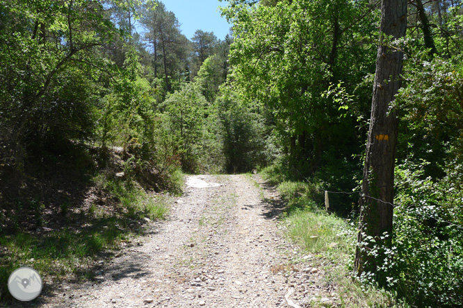 Ruta circular por la Quar del Berguedá 1 