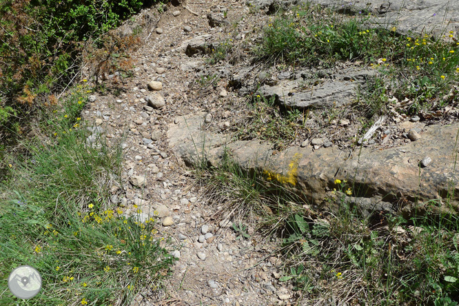 Ruta circular por la Quar del Berguedá 1 