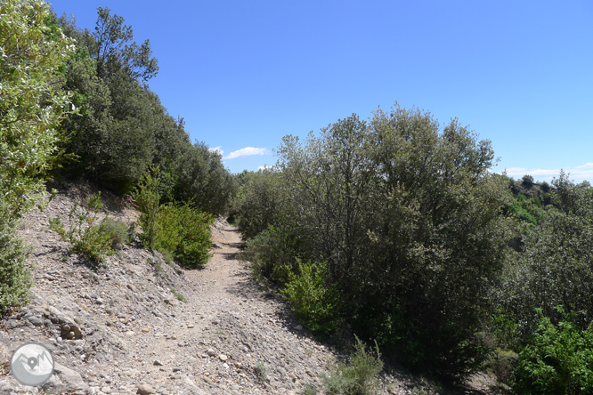 Ruta circular por la Quar del Berguedá 1 