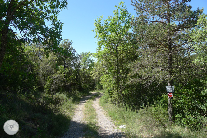 Ruta circular por la Quar del Berguedá 1 