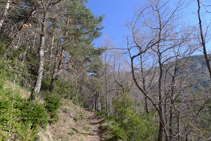 El camino flanquea la montaña por la zona de la Creueta.
