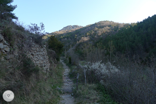 Camino antiguo del santuario de Montgrony desde Gombrèn 1 