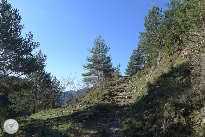 Camino antiguo del santuario de Montgrony desde Gombrèn 1 