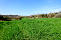 Campos de cereales.