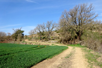 Entre campos de cereales y bosques.