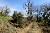 El GR 7 por debajo de la ermita de Sant Jaume.