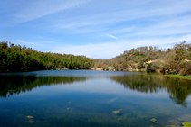 El pinar y el robledal alrededor del embalse.