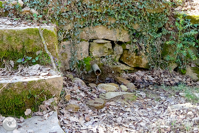 Del santuario del Miracle a la Alzina 1 