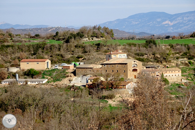 Del santuario del Miracle a la Alzina 1 