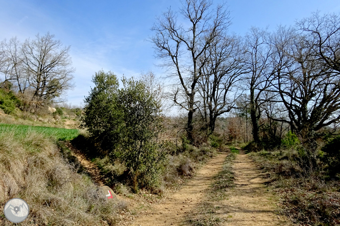 Del santuario del Miracle a la Alzina 1 