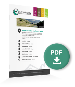 pdf-ruta