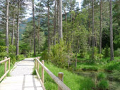 Sendero accesible del Cornato en valle de Pineta