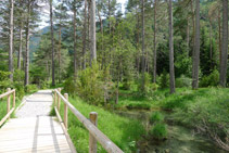 Cruzamos un puente de madera.