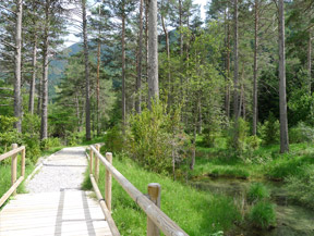 Sendero accesible del Cornato en valle de Pineta