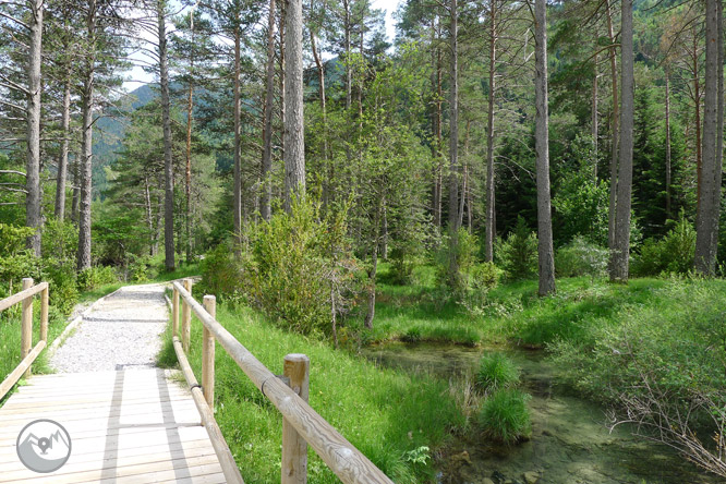 Sendero accesible del Cornato en valle de Pineta 1 