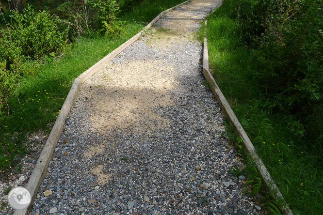 Sendero accesible del Cornato en valle de Pineta 1 