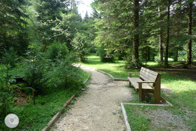 Sendero accesible del Cornato en valle de Pineta 1 