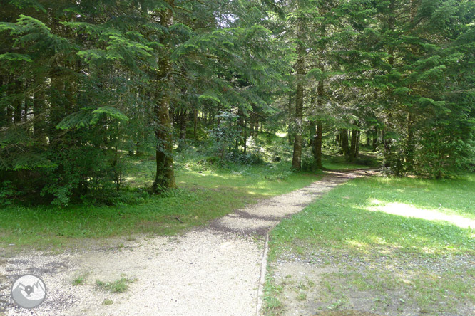 Sendero accesible del Cornato en valle de Pineta 1 