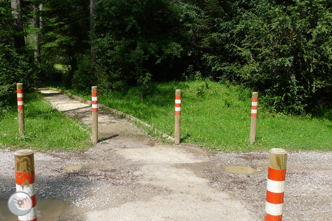 Sendero accesible del Cornato en valle de Pineta 1 