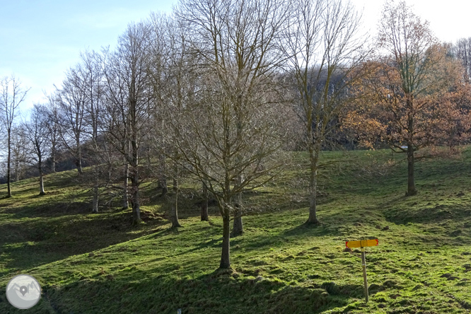 La sierra de Puig d