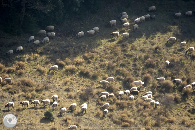 Serra Seca y el Pla de les Guàrdies desde Cambrils 1 