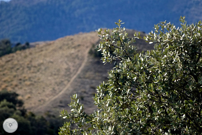 Serra Seca y el Pla de les Guàrdies desde Cambrils 1 