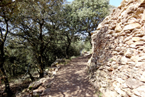 Paredes de piedra seca en Estac.