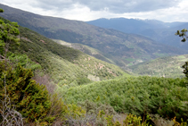 El bosque de Tolzó y la montaña de Estac.