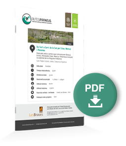 pdf-ruta